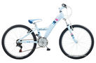 Claud Butler Banshee 24 2010 Kids Bike (24