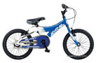 Blast 16 B2010 Kids Bike (16