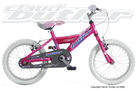 Flame 2009 Kids Bike (16 Inch Wheel)