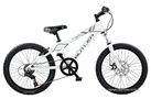 Klaw 20 2010 Kids Bike (20