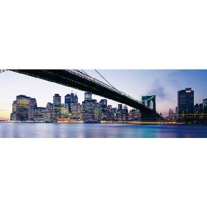 New York 1000 Piece Panorama Jigsaw Puzzle