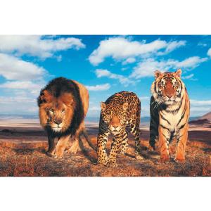 Wild Life 1000 Piece Jigsaw Puzzle