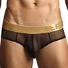 desire latin brief