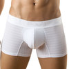 zenia boxer brief