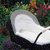 Clippasafe Pram and Carrycot Cat Net