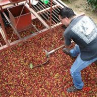 Gray Line - Costa Rica Coffee Tour - From San Jose