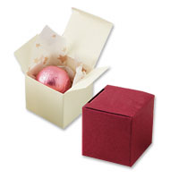 Burgundy cube favour boxes (x10)