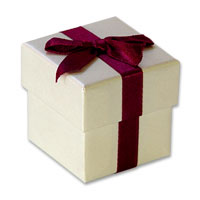 burgundy ribbon favour boxes