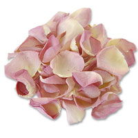 Confetti Pink two tone freeze dried sml