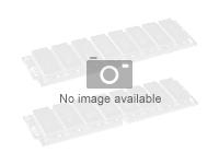 XMS 256MB XMS3200 2-3-2-6 184 Pin DIMM Platinum