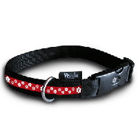 Company of Animals Visiglo Paws Collar