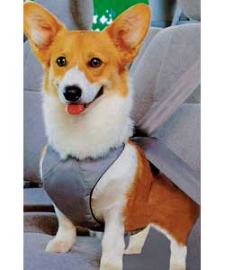 Cosmos Pet Car Seat Belt/Harness