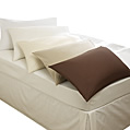 Cotswold Label Single Flat Sheet - cream