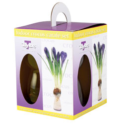 Crocus Glass Gift Set