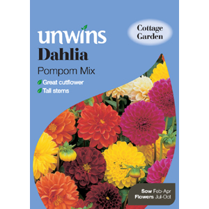 Dahlia Pompom Mixed Seeds