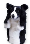 Daphnes Border Collie Headcover DABORDERC