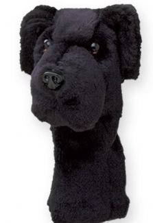 DAPHNE` BLACK LAB HEADCOVER