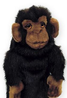 DAPHNE` CHIMP HEADCOVER