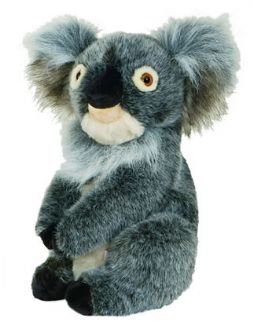 DAPHNE` KOALA BEAR HEADCOVER