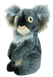 DAPHNE` KOALA UTILITY HEADCOVER