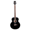 Acoustic Bass - Classic Black