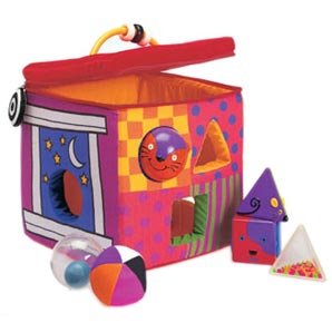 Whoose House Shape Sorter