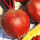 Detroit 2 Crimson Globe Beetroot Seeds