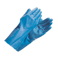 DICKIES Nitrile G25B Pack 12 Blue Large