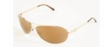 DandG 6015 Sunglasses 02/F9 Gold Gold Mirror 67/13 Large