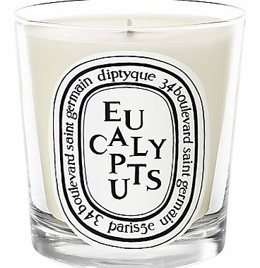 Eucalyptus Candle, 190g