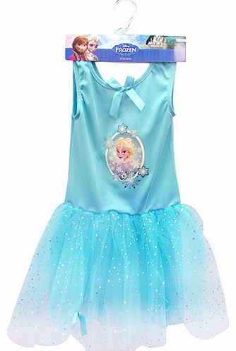 Elsas Costume - Small (Age 3-4)