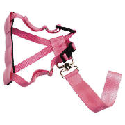 Car Harness Small