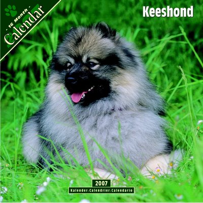 Dog Keeshond 2006 Calendar