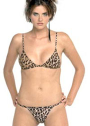 Animal Print triangle bikini set