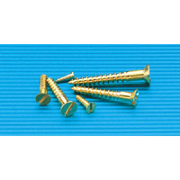 DRAPER 100 Brass Tra.S/Screw 2.1/2X10