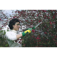 DRAPER Folding Pruning Saw 250Mm