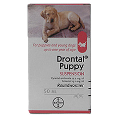 Puppy Suspension 100ml