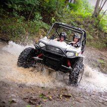 Buggy Safari Falmouth from Ocho Rios - Adult