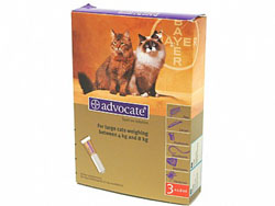 Advocate Large Cat (4-8kg) - 3 Pipettes