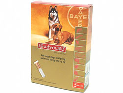 Advocate Large Dog (10-25kg)