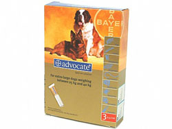 Advocate XL Dog (25-40kg)