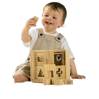 Shape Sorter House