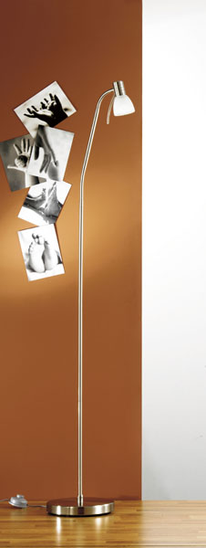 Prince 1 Floor Lamp