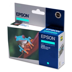 Inkjet Cartridge Cyan for RX800 Ref