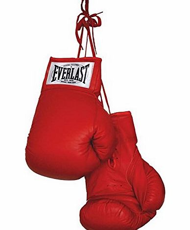 Everlast Autograph Boxing Gloves