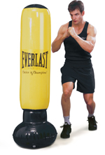 everlast Power Tower