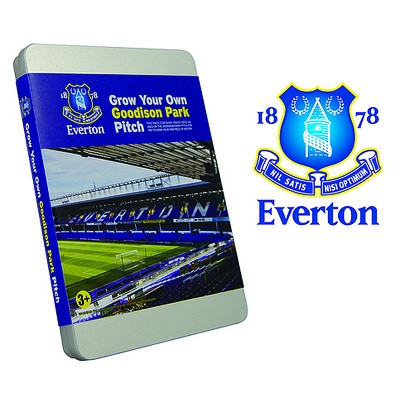 Everton Stadium