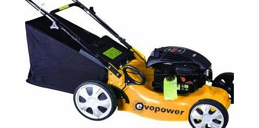 LM43S 17`` Self-Propelled Rotary Petrol Lawnmower