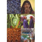 Fair Trade Media Ladies Greetings Cards Set