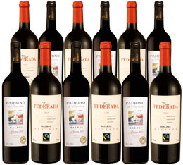 Malbec Showcase - Mixed case